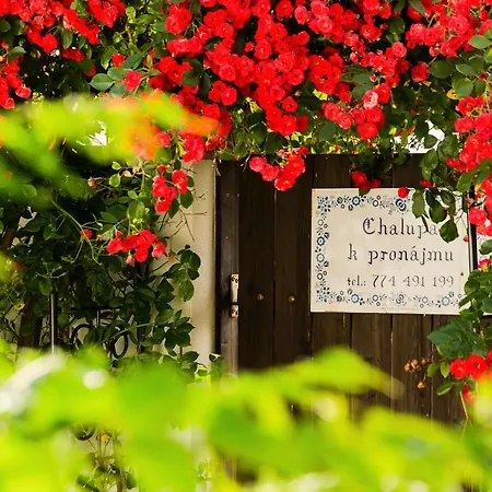 U Capu Chalet Nove Mlyny